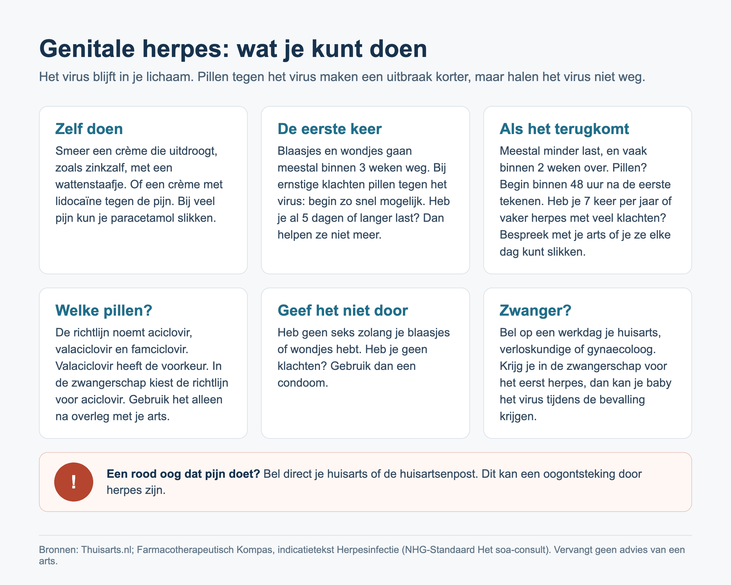 Overzicht bij genitale herpes: wat je zelf kunt doen, wat er gebeurt de eerste keer en als het terugkomt, welke pillen de richtlijn noemt, hoe je het niet doorgeeft, wat je doet als je zwanger bent, en wanneer je direct belt.